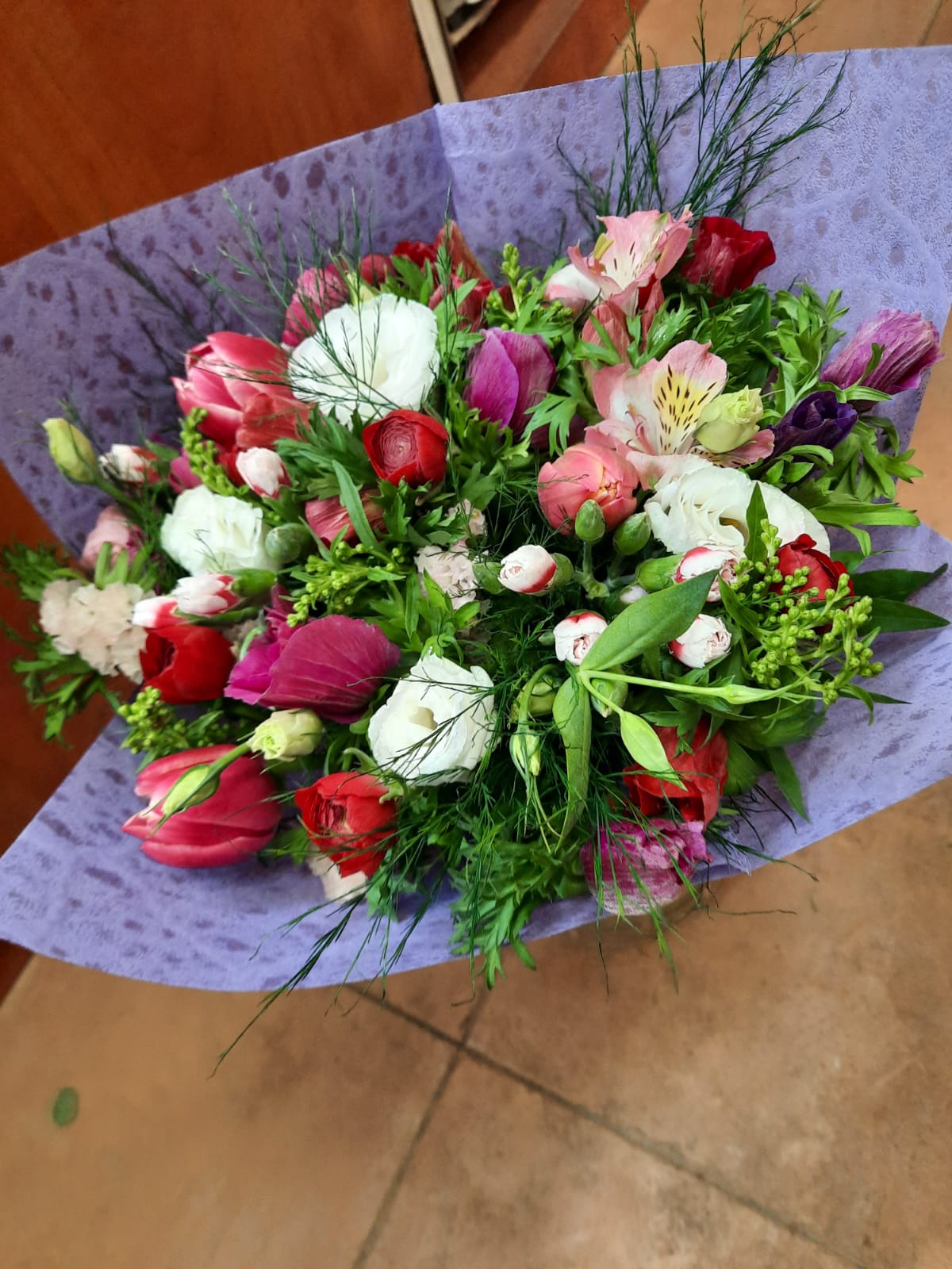 רומנטיקה - פרח בר - עמק חפר - נתניה