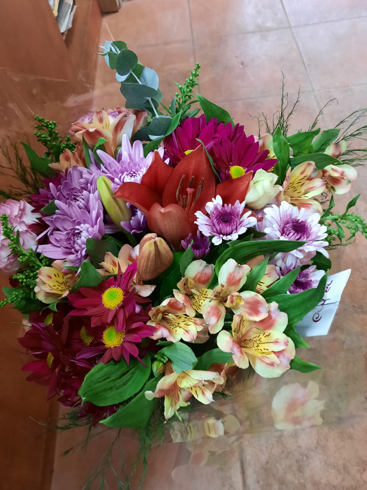 כל האהבה שבעולם - פרח בר - עמק חפר - נתניה