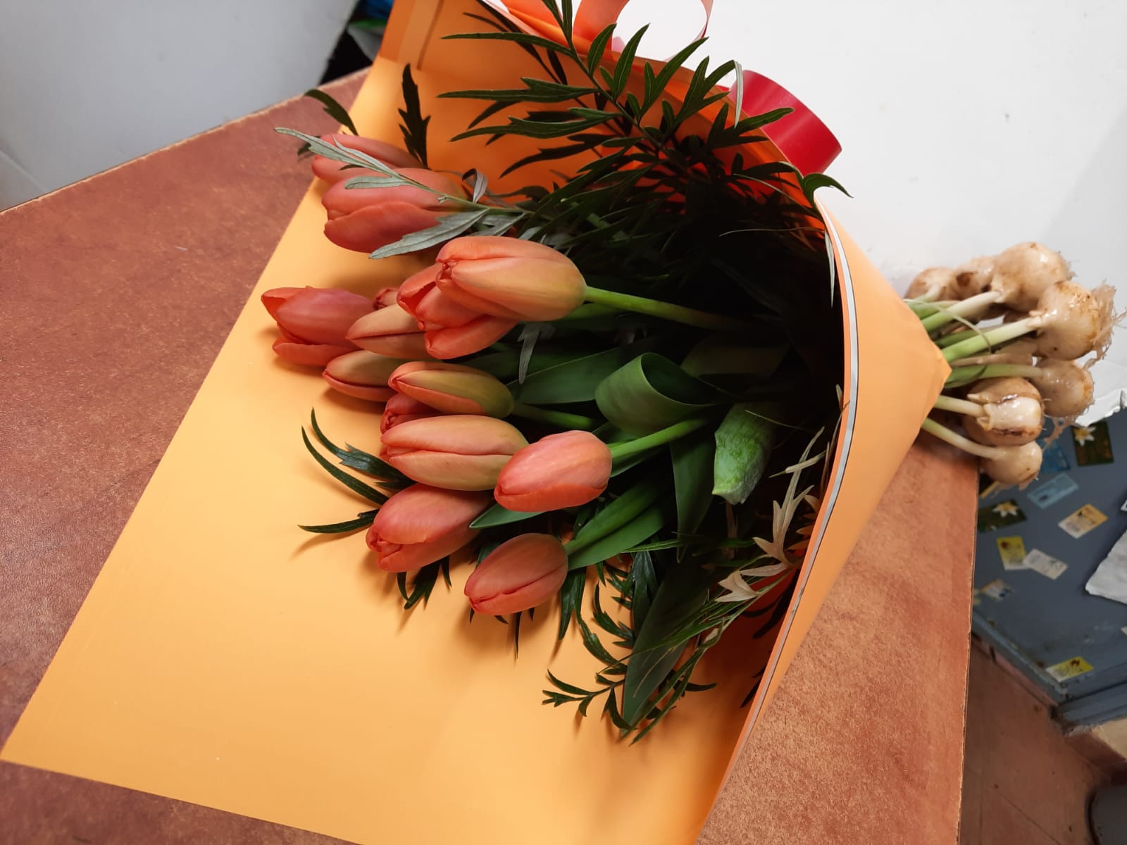 צבעונים באהבה - פרח בר - עמק חפר - נתניה