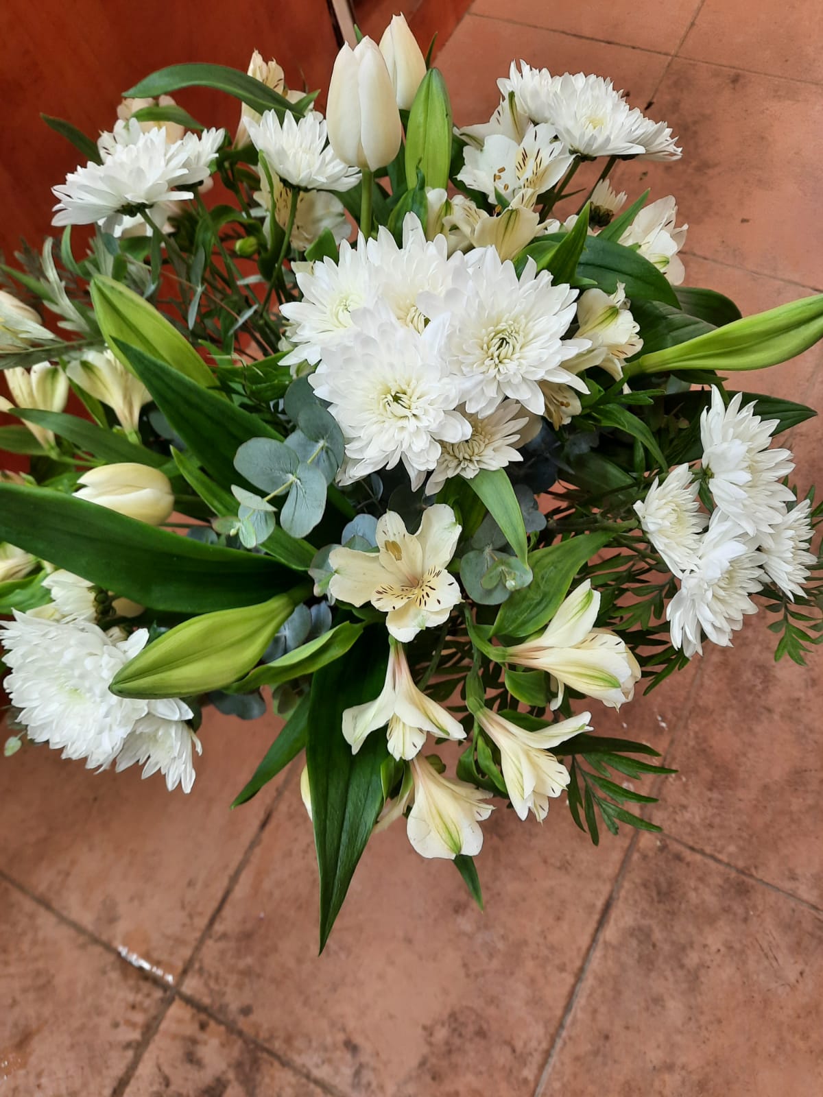 אהבה בלבן - פרח בר - עמק חפר - נתניה