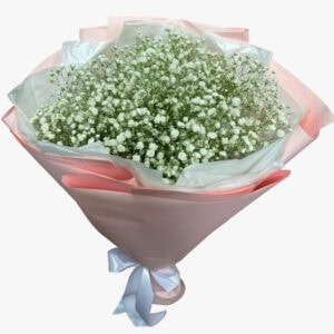 זר גיפסנית לבן | 299 - פרחי לב - כרמיאל