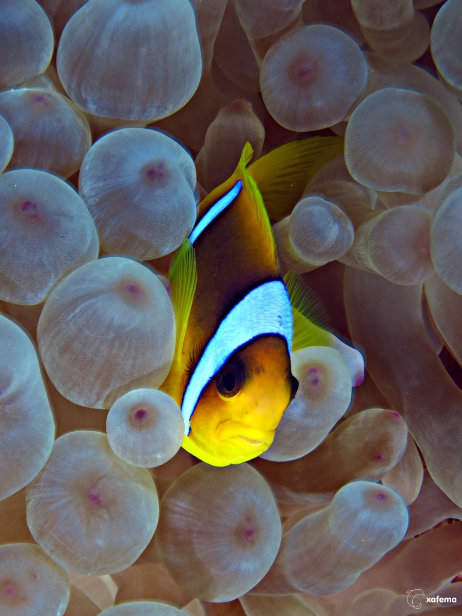 15835593198_eab8f072f5_o