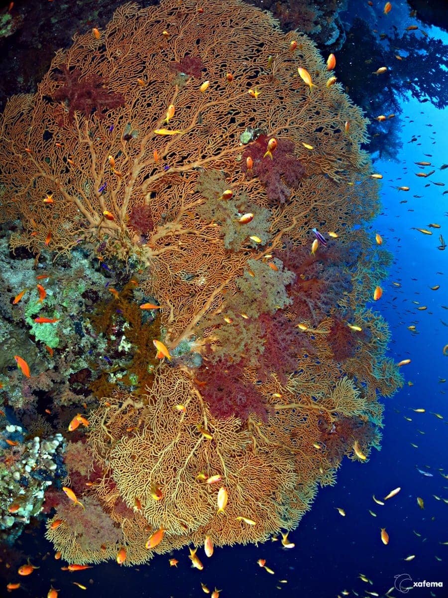 16023026745_c881b9051a_o