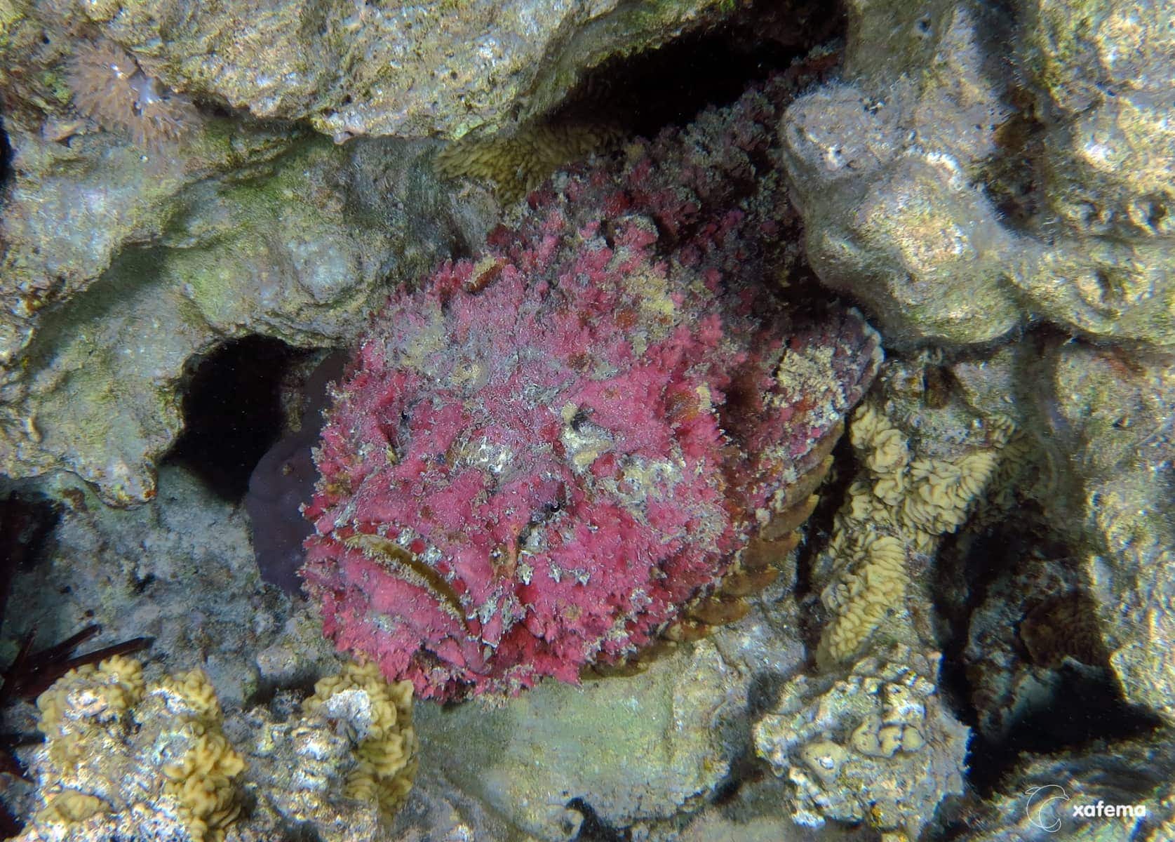 29607192914_bd2c5cc22d_o