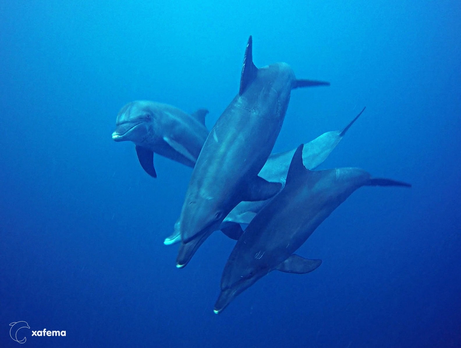 29758030595_0d02c9e314_o