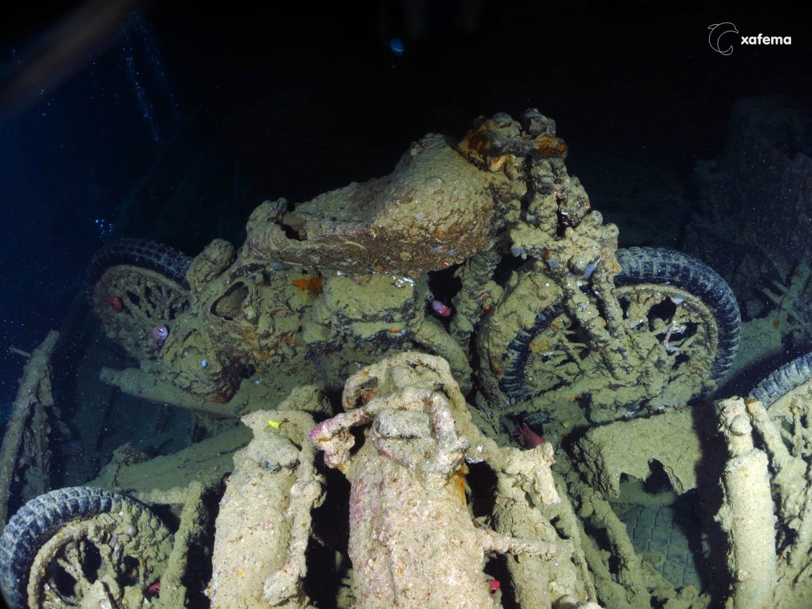 30127278042_6ac464ec55_o