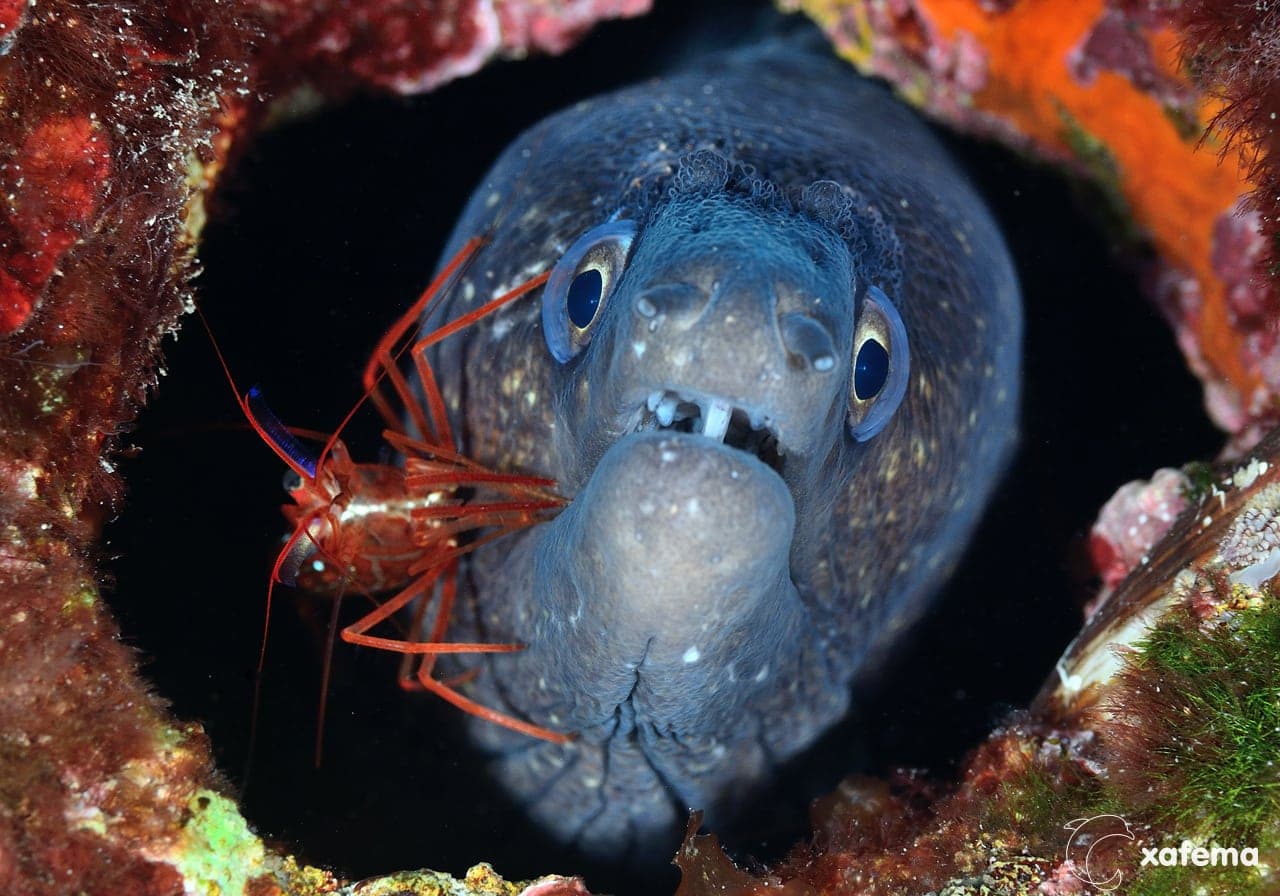 DSC_4070editedsigned