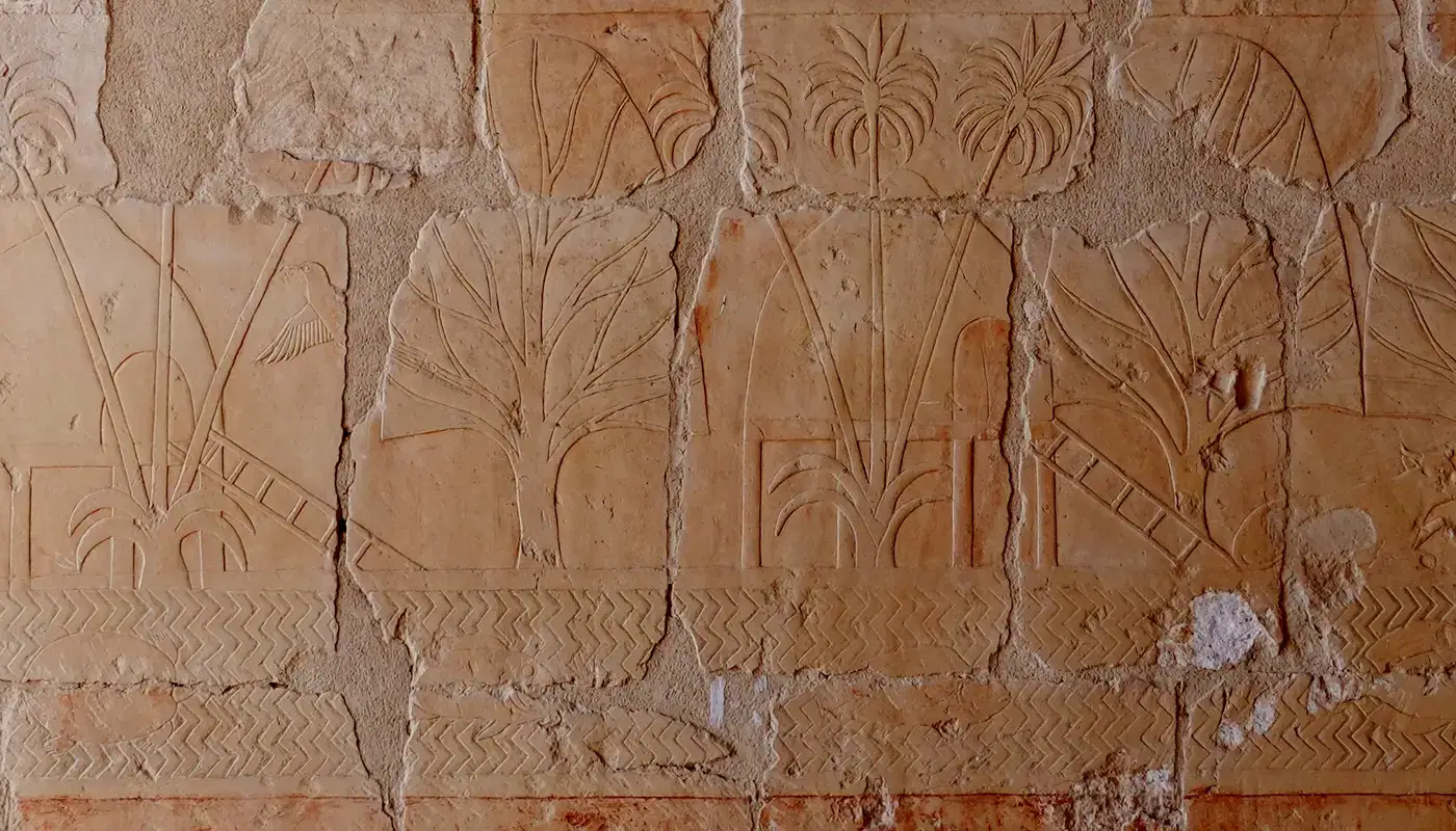 Punt landscape with houses and myrrh trees