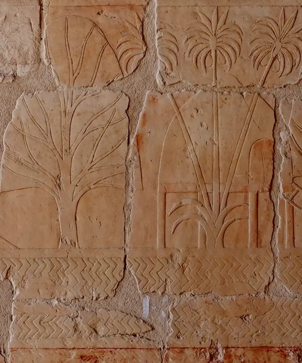 Ancient trade scene from the Punt portico