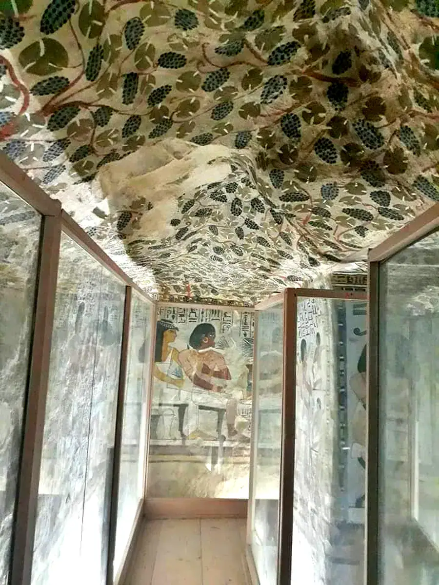 Vine-covered corridor in the Tombs of the Nobles in Luxor, inside Sennefer TT96