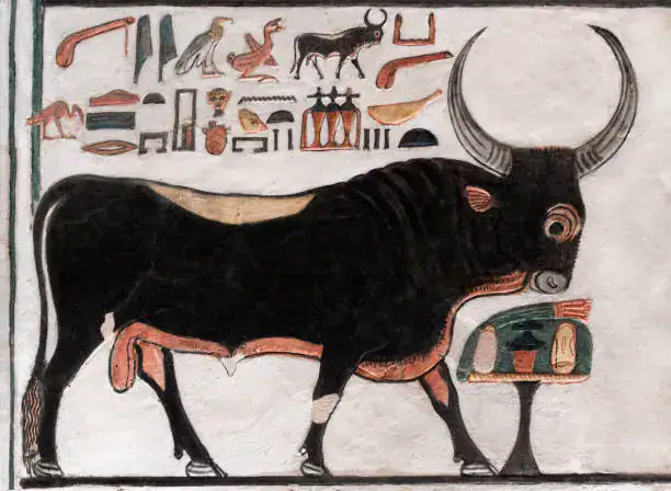 Nefertari QV66 sacred bull scene