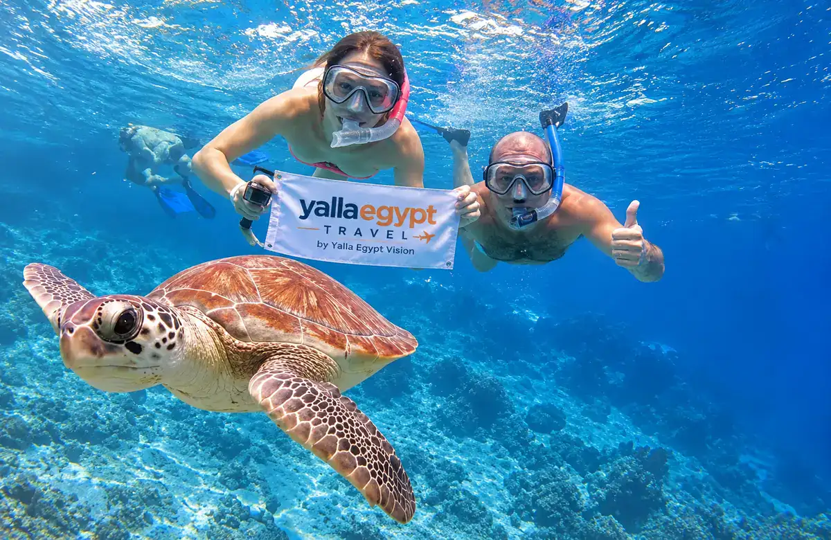 Red Sea Experiences with Yalla Egypt Travel snorkeling in Egypt