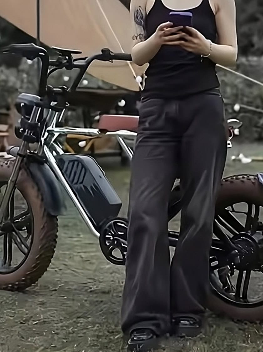 Electric bicycles – the popular star of urban travel