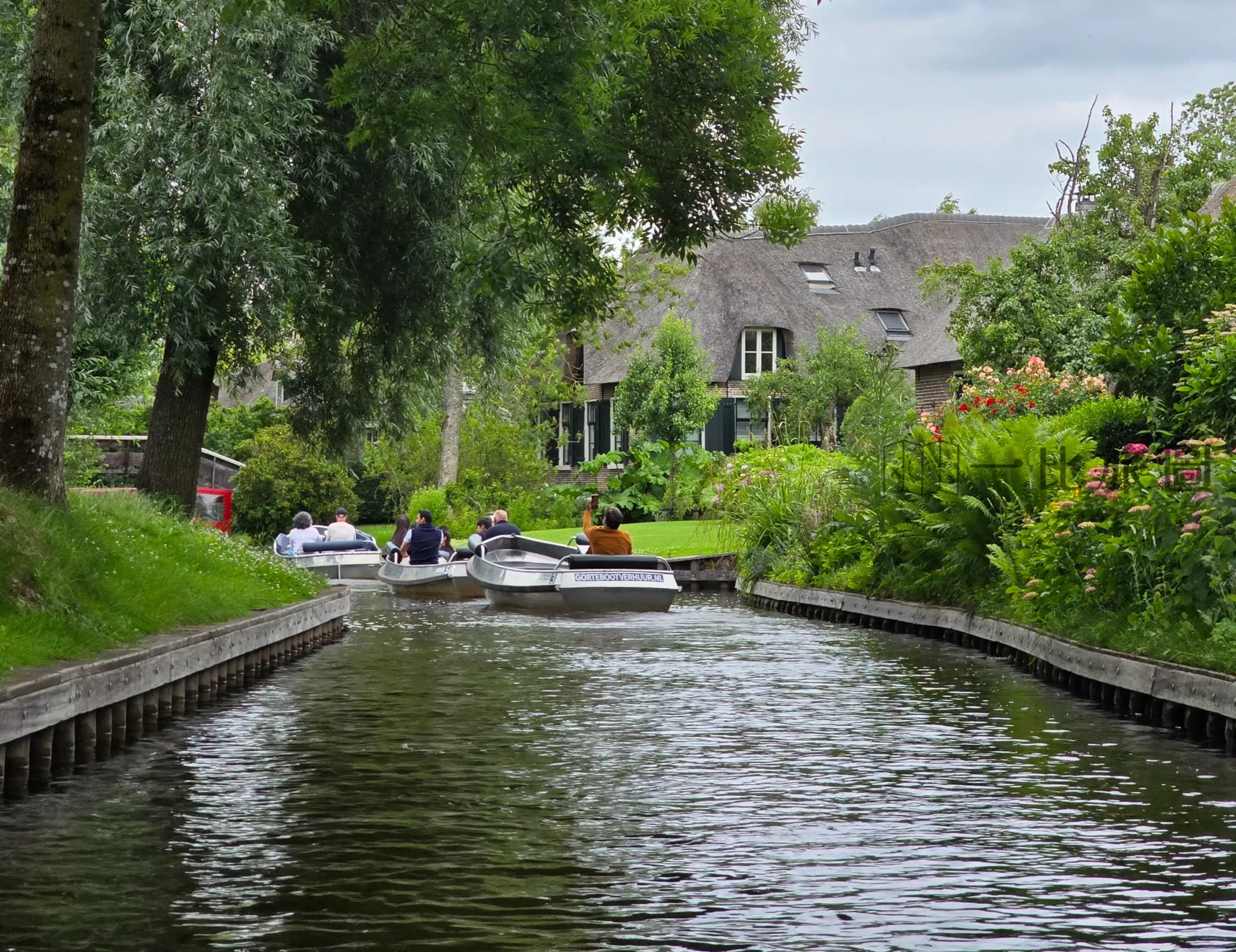 荷蘭羊角村 Giethoorn 攻略｜水上威尼斯該租船自駕嗎？超真實開船心得分享！