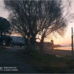 Γιώργος Κακογιάννης