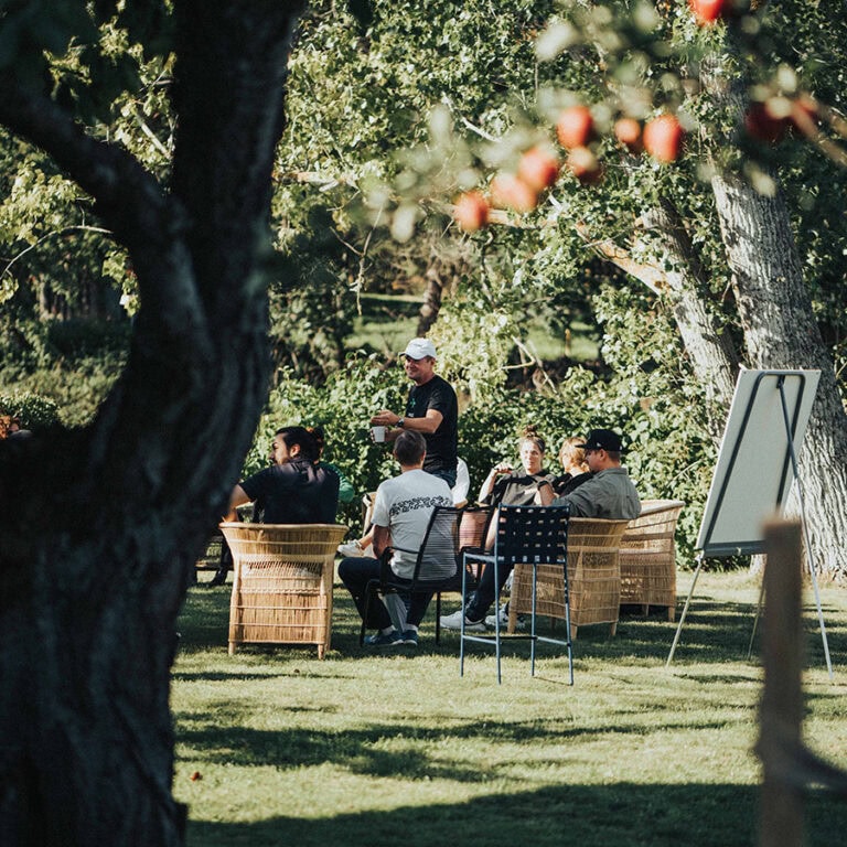 Heldagskonferens i trädgården