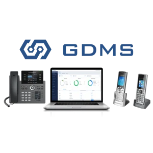 GDMS_front