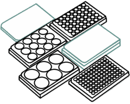 Coated plates for zenCELL owl migration assay