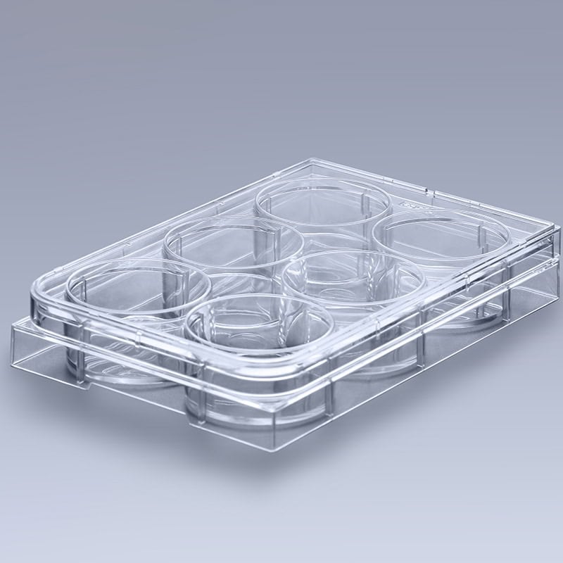 ScratchMaker scratch assay plate with photosensitizer-coated glass bottom – 6-well format for wound healing assay