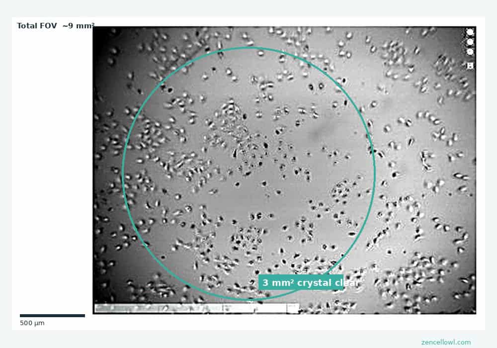 zenCELL owl Wide — fixed cells brightfield, 9mm² FOV, 3mm² crystal clear center zone marked
