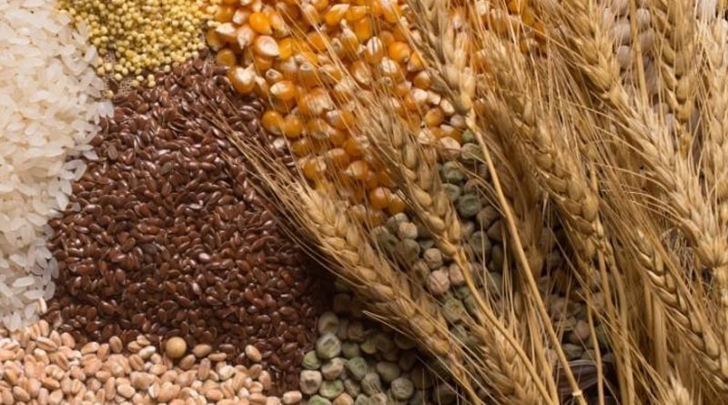 Grains