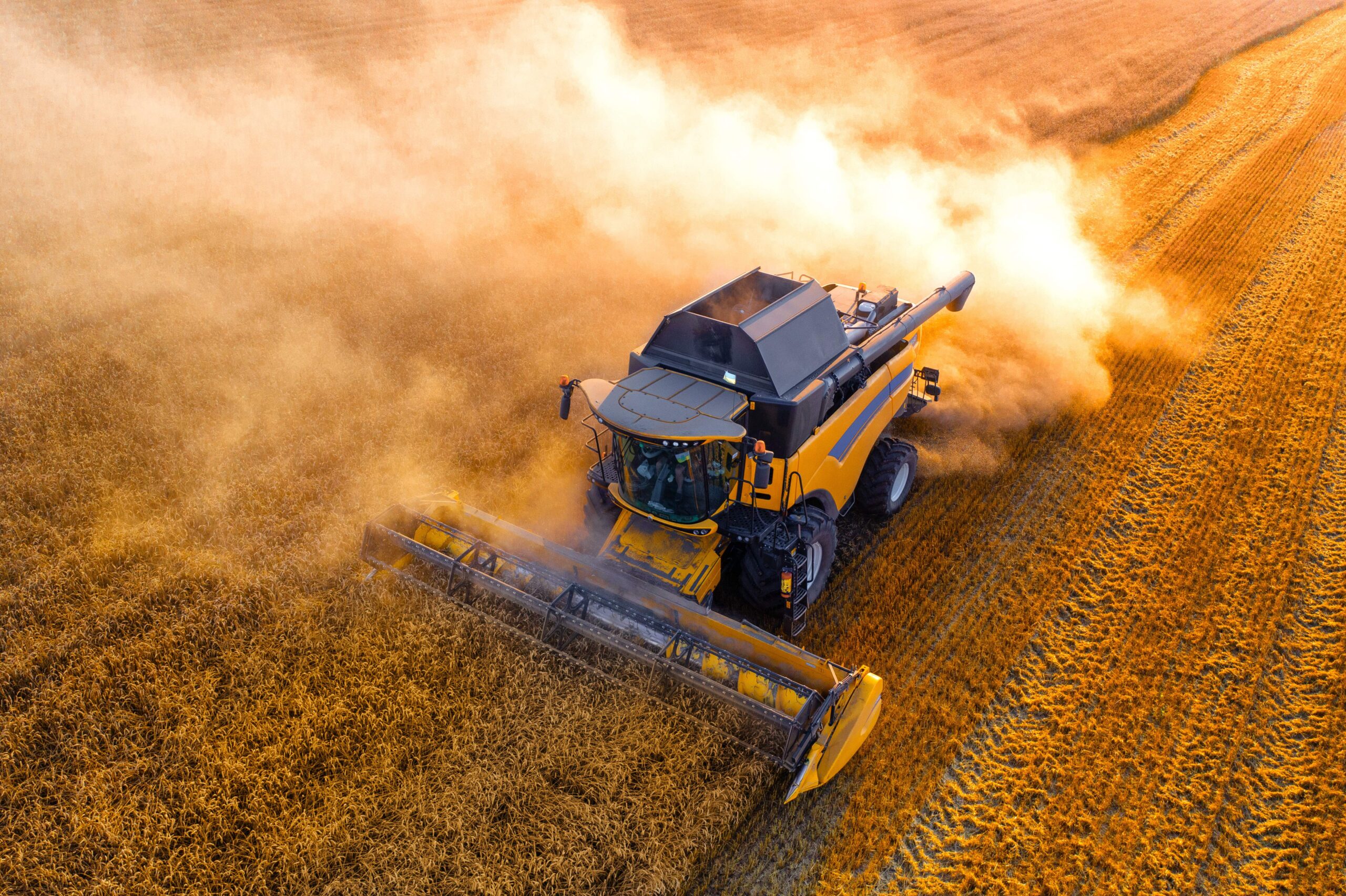 Harvest