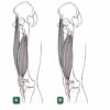 Biomechanika Przysiadu