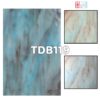 TDB119