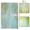 TDB31