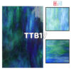 TTB17