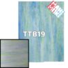 TTB19