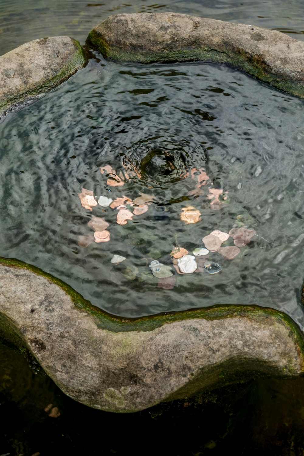 Wishing well, good luck symbols