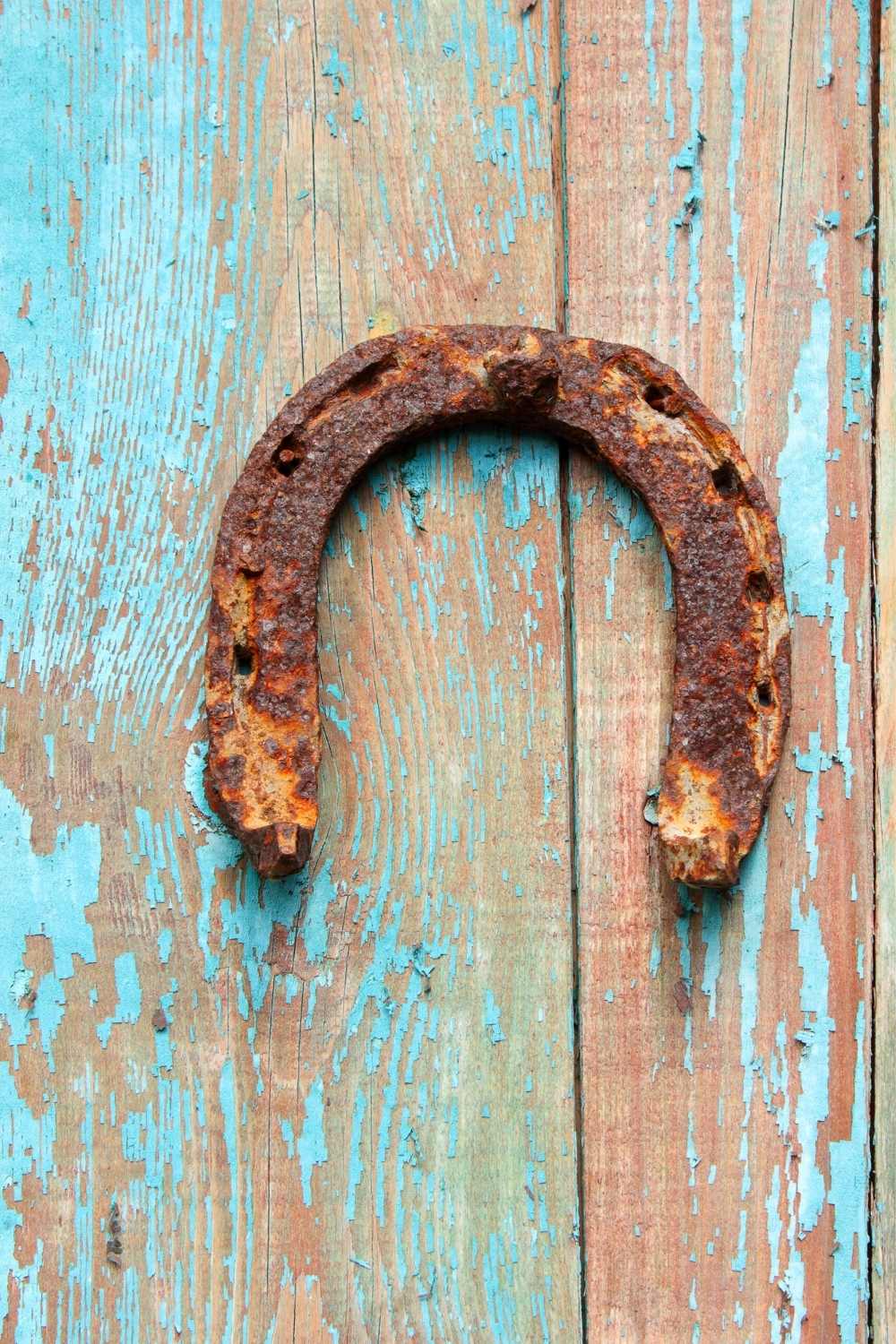 Good luck symbols, horseshoe
