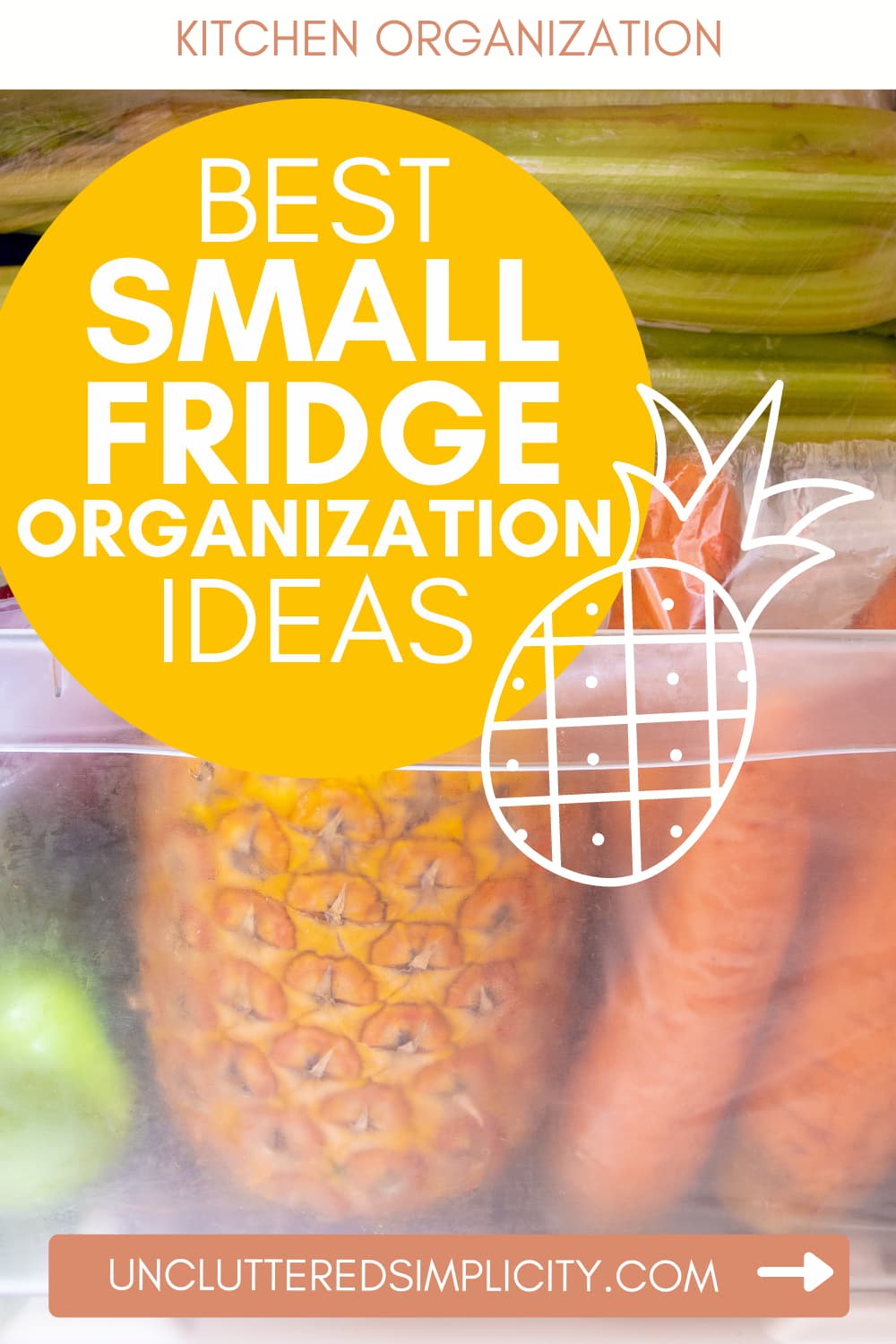 Pins Small fridge organization ideas