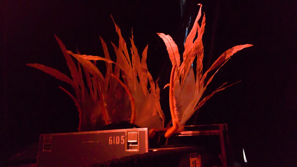 Cirque du Soleil Corteo a Splendid and Whimsical Dream 13 Cirque du soleil Corteo, backstage