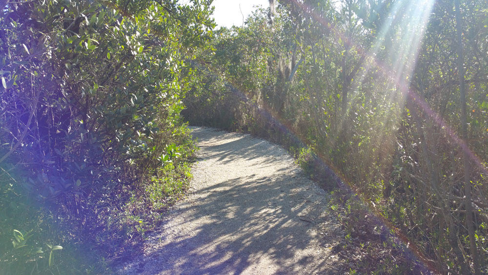 De Soto National Memorial Bradenton Florida, native america in florida