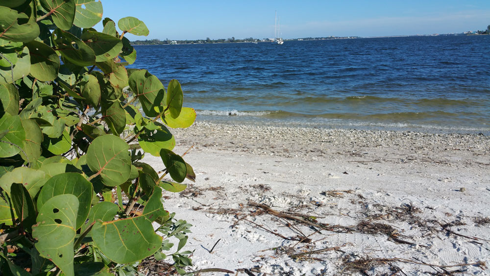 De Soto National Memorial Bradenton Florida