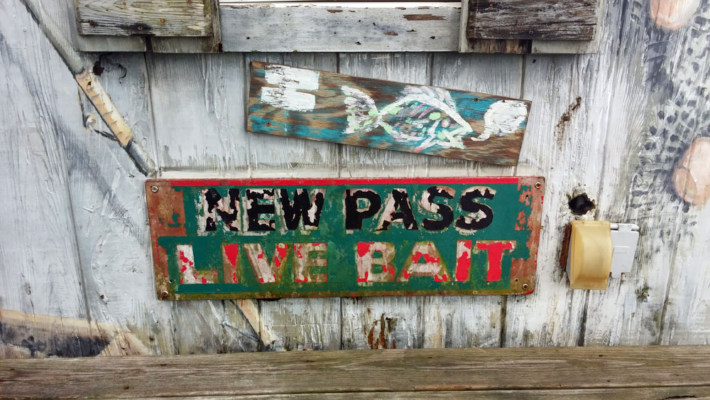 things to do in Florida