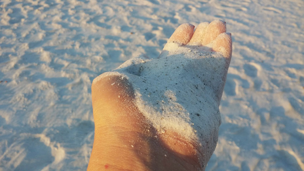 things to do in Florida