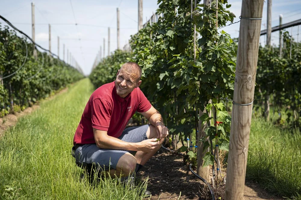 Landgard Inside- Ein Besuch in Bornheim - Marcel Blum