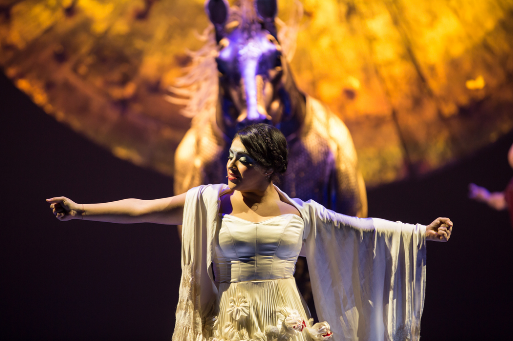 Cirque du Soleil LUZIA