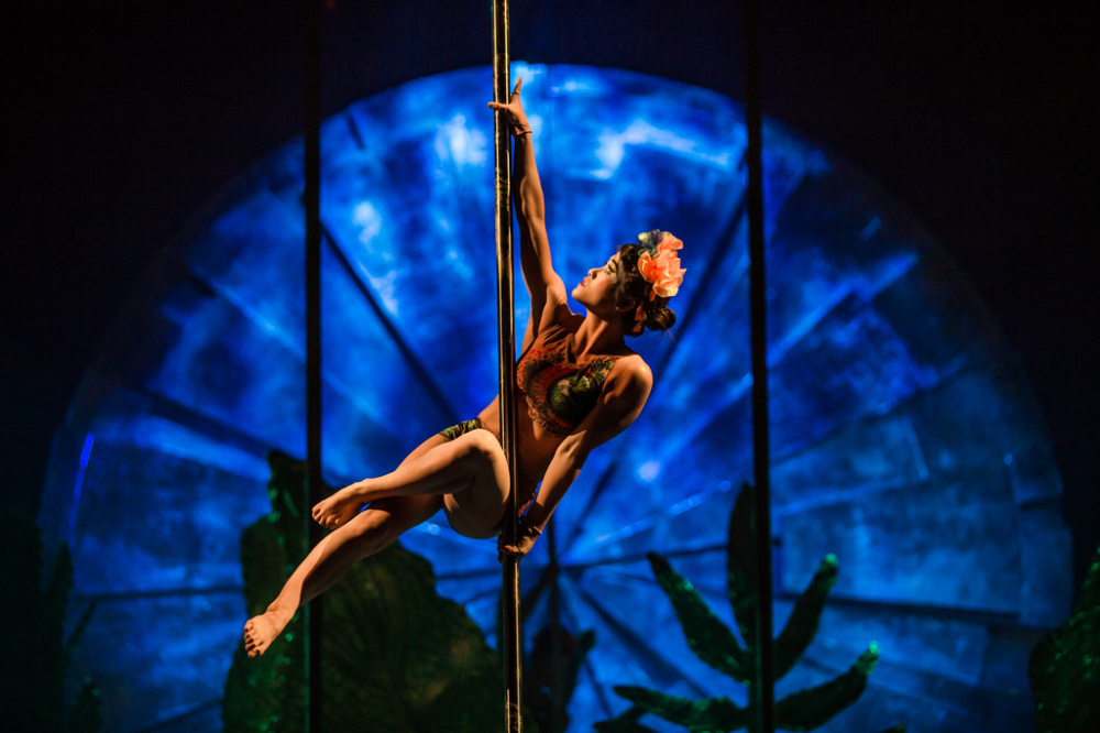 Cirque du Soleil LUZIA