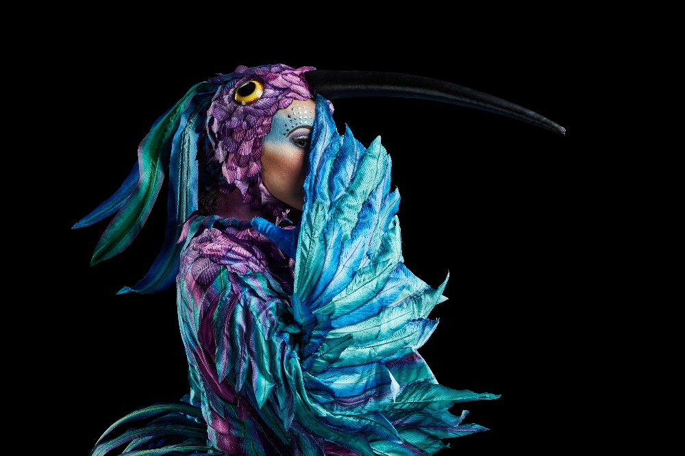 Cirque du Soleil LUZIA
