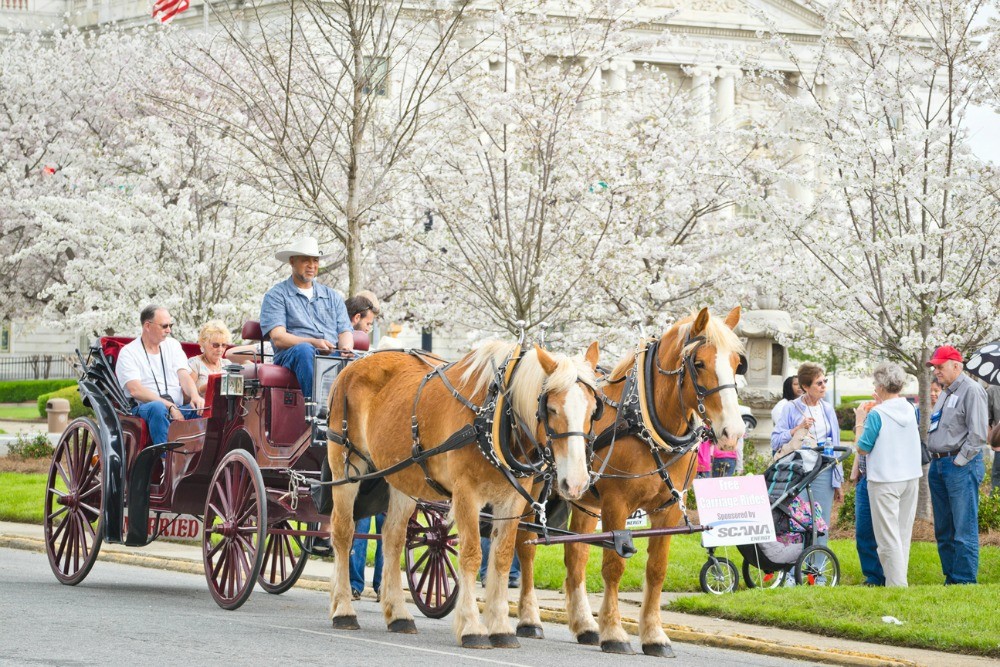 Take a Break from the City and Explore Georgia - Things to do in Macon 3 Things to do in Macon, Georgia