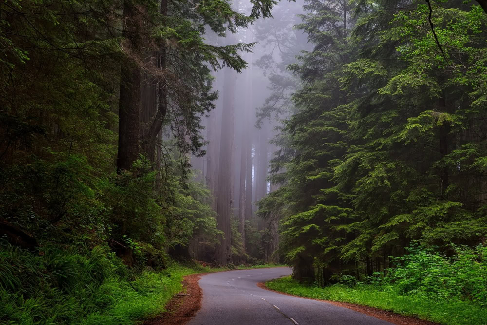 best places to visit in the summer