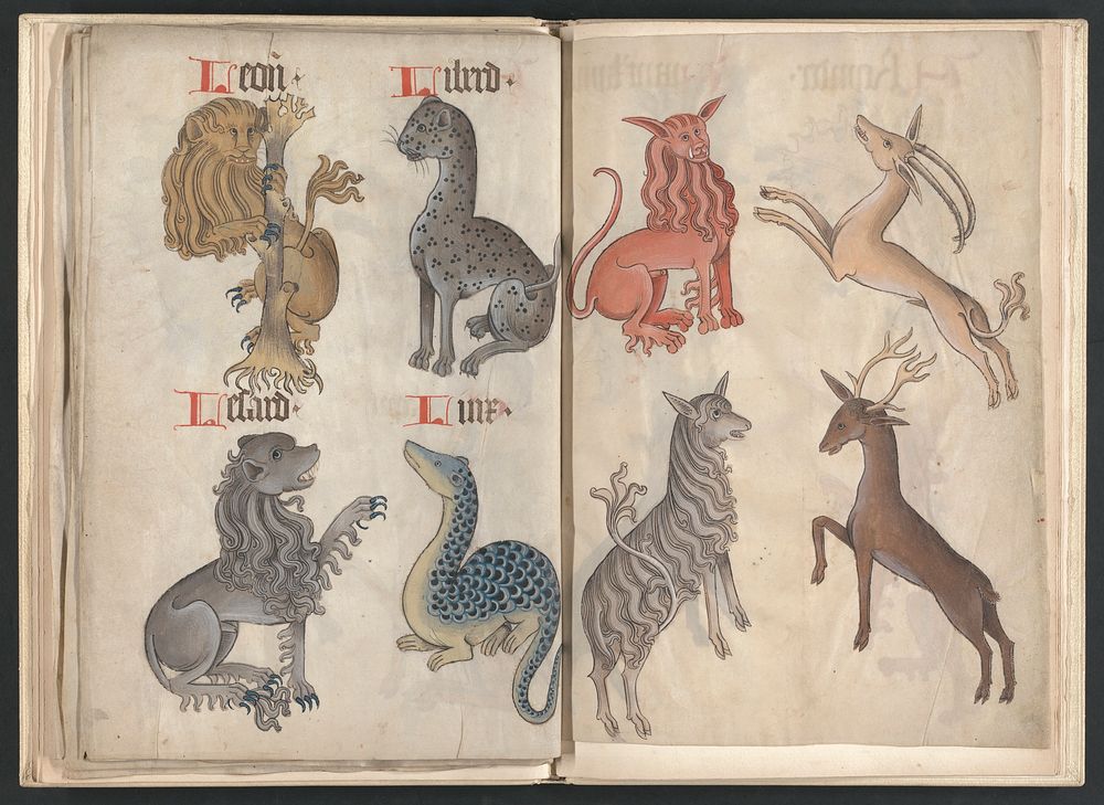 Sick of Fae in Fantasy? Here are 9 Folklore Creatures to Use in Your Fantasy Worlds