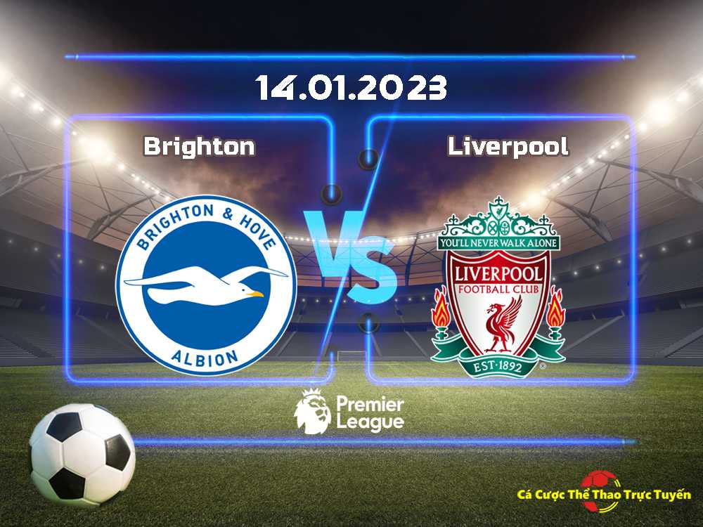 Brighton và Liverpool