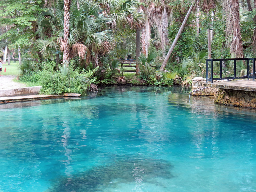 Juniper Springs