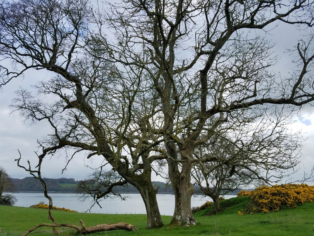 Game of thrones filming locations in northern ireland, the red wedding, the twins