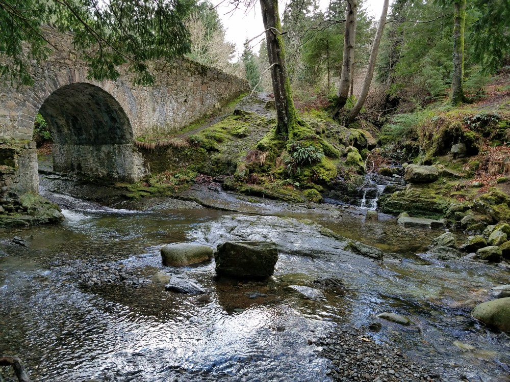 Game of thrones filming locations in northern ireland, tollymore forest